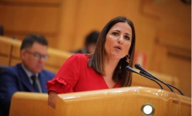 La senadora almeriense Inés Plaza por el PSOE, en la Cámara Alta.