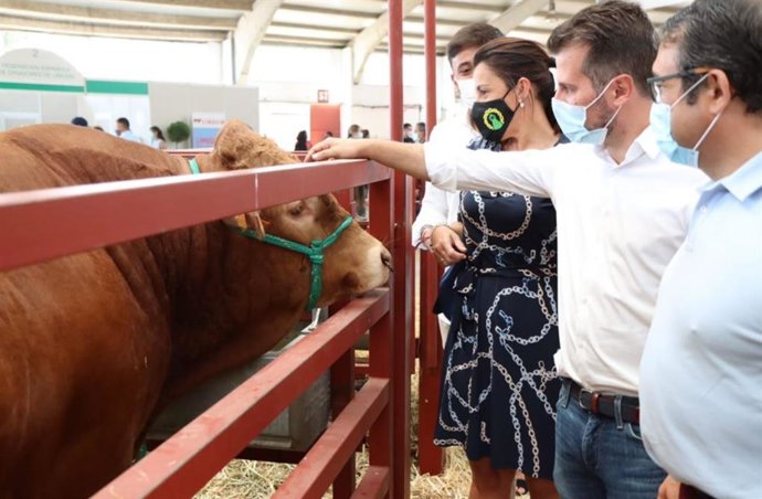 El Secretario General Del Psoecyl, Luis Tudanca, Visita La Feria Salamaq.