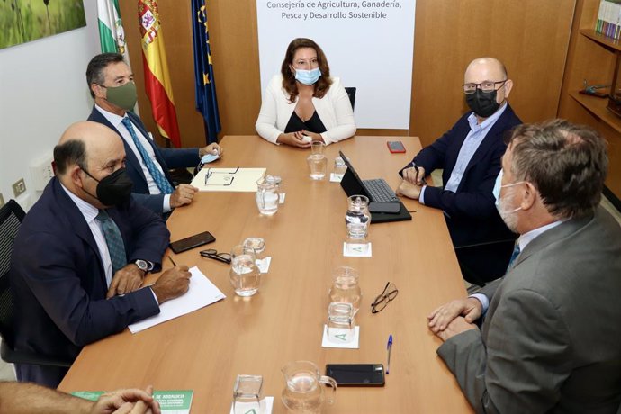 Reunión de la consejera de Agricultura, Ganadería, Pesca y Desarrollo Sostenible, Carmen Crespo, con el Colegio de Ingenieros Agrónomos de Andalucía.