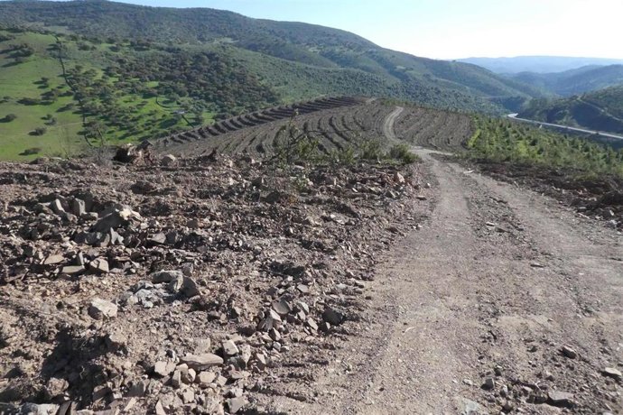 Archivo - Imagen del Parque Natural de la Sierra de Aracena y Picos de Aroche (archivo)