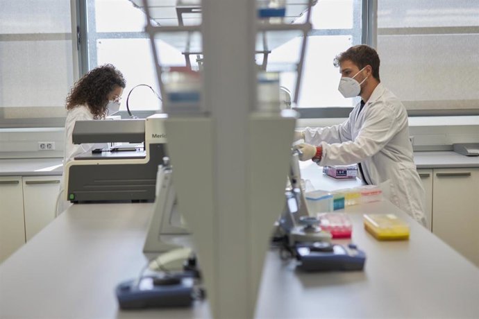 Universitarios de la UGR en labores de investigación (Archivo)