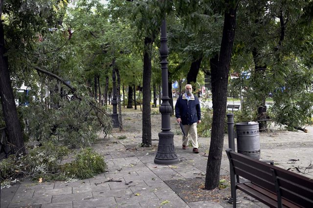 Archivo - Imagen de archivo de caída de ramas