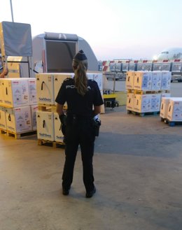 Llegan 179.010 dosis de Pfizer al aeropuerto de Manises (Valncia)