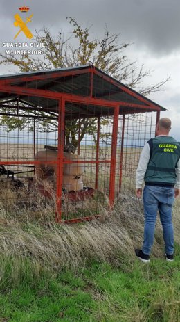 Archivo - Operativo para esclarecer el hurto del gasóleo.