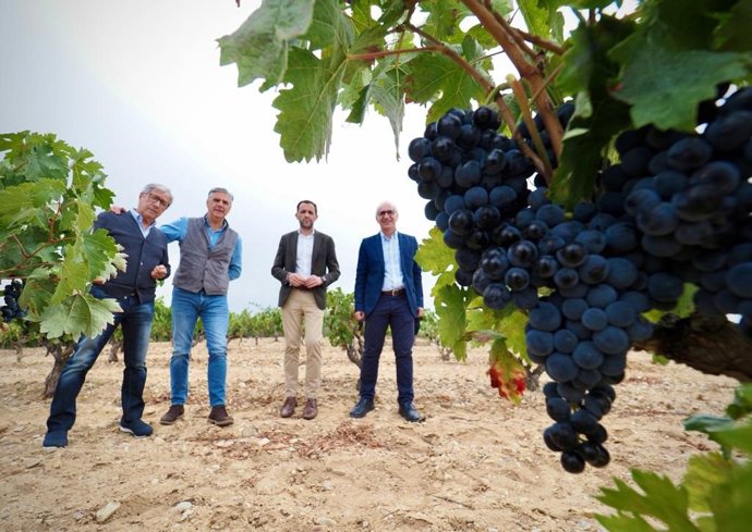 Imagen de la visita de Conrado Íscar a Bodega Tr3smano.