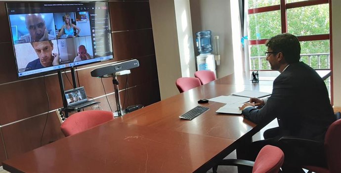Reunión telemática del consejero de Industria con representantes del Comité de Empresa de Alu Ibérica en Avilés