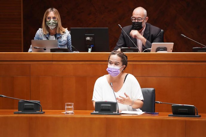 La directora del IAM, María Goikoetxea, en la Comisión Institucional y de Desarrollo Estatutario de las Cortes de Aragón.