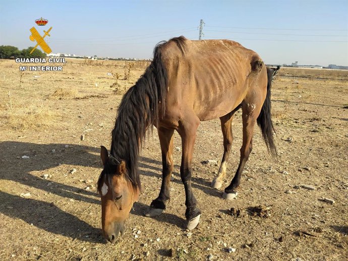 Vídeo de la noticia