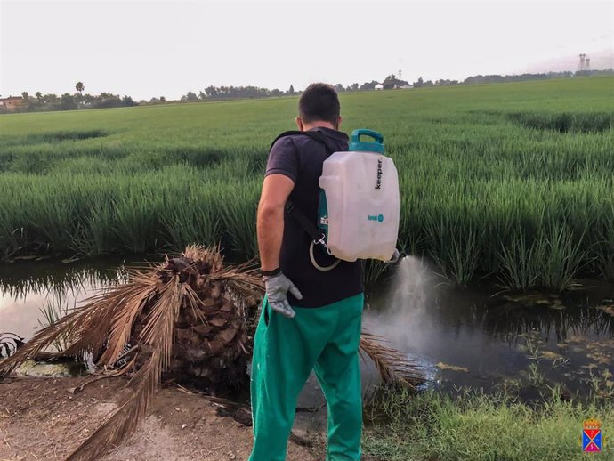 Un operario fumiga en La Puebla del Río contra los mosquitos para prevenir la Fiebre del Nilo.