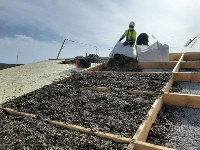 Uso de la posidonia seca como aislante en los tejados de una vivienda de protección oficial de Palma.