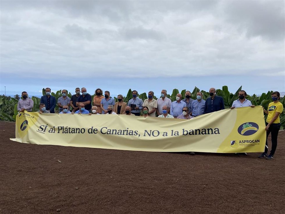El sector platanero canario al completo se opone a la nueva Ley de cadena alimentaria durante su Asamblea general, celebrada este 7 de septiembre de 2021