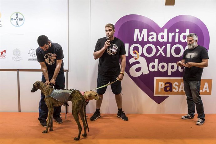 Archivo - 100x100 Mascota 2021 impulsará la adopción responsable, de la mano de FAPAM