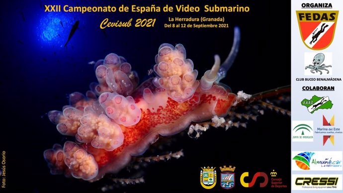 XXII Campeonato de España de Vídeo Submarino
