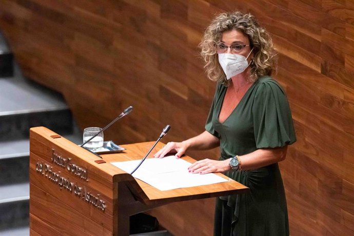 La portavoz de Ciudadanos en la Junta General, Susana Fernández