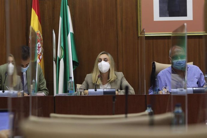 Almería.-Junta urge a Gobierno a convocar la sociedad 'Almería Alta Velocidad' tras "reactivarse" obras paradas en julio