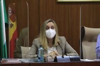 Carazo defiende la "mejora" de sus agencias y Vox lamenta el "mantenimiento de una red clientelar de casi 40 años"