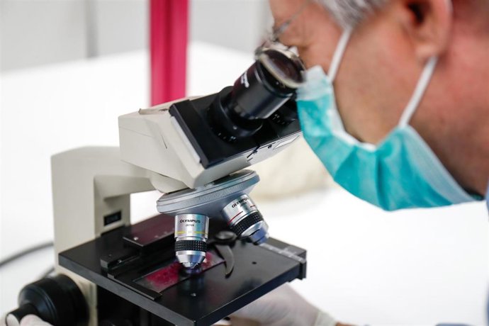 Archivo - Imagen de archivo de un laboratorio.