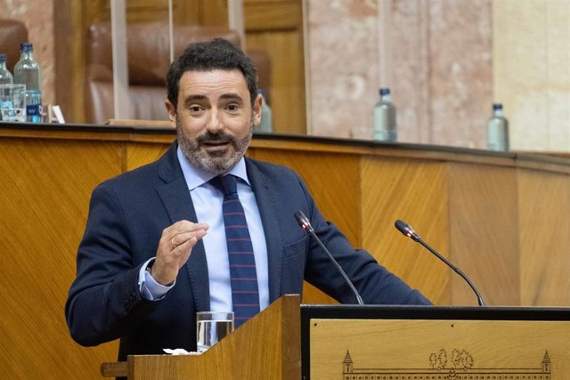 Archivo - El portavoz del PP-A en el Pleno del Parlamento andaluz, en una imagen de archivo