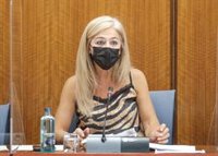 Del Pozo niega "duplicidades" entre IAPH y Consejería y PSOE-A la acusa de "no defender" el instituto "de forma creíble"