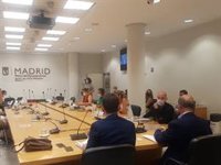 Más Madrid y Vox no votan enmiendas a ordenanza del Mixto por considerar que alteran el funcionamiento de la institución