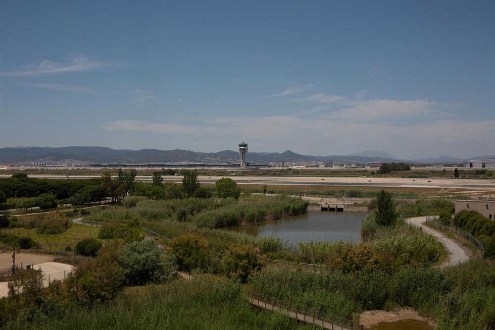 Archivo - El aeropuerto de de Josep Tarradellas Barcelona-El Prat, cerca del espacio protegido natural de La Ricarda, a 9 de junio de 2021, en El Prat de Llobregat, Barcelona, Cataluña (España). La Ricarda es un espacio protegido de 800 metros de longit