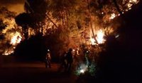 El incendio comenzó con dos focos