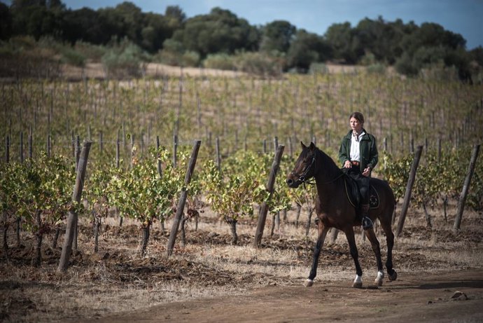 El turismo enológico se ha convertido en un motor para el desarrollo rural