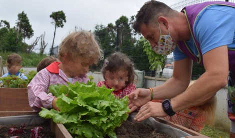 Cooperación y Desarrollo