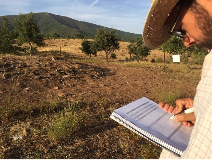 Una nueva excavación del proyecto de Pradocastaño en Hernán Pérez trabaja sobre el Dolmen de la Majadilla