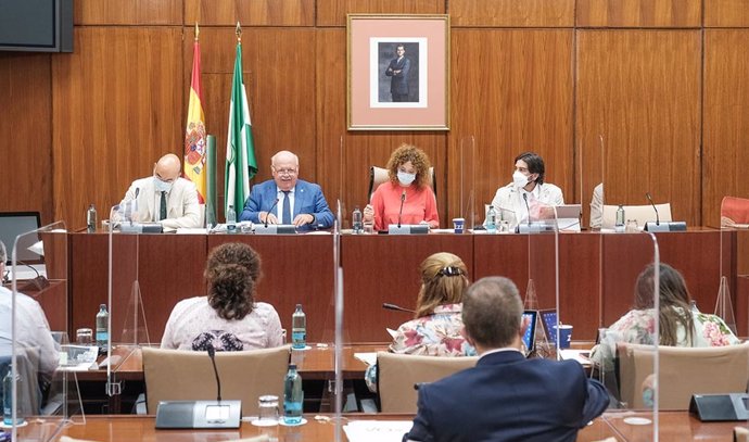 Comisión de Salud y Familias en el Parlamento