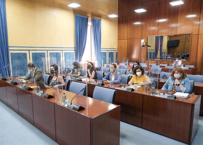 Archivo - Diputados en la comisión de investigación de la Faffe, en una foto de archivo.