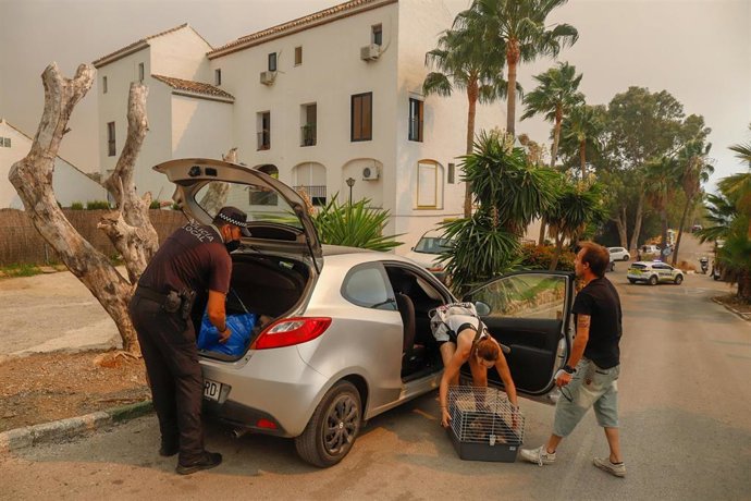 Vídeo de la noticia