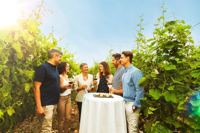 Archivo - Enoturismo