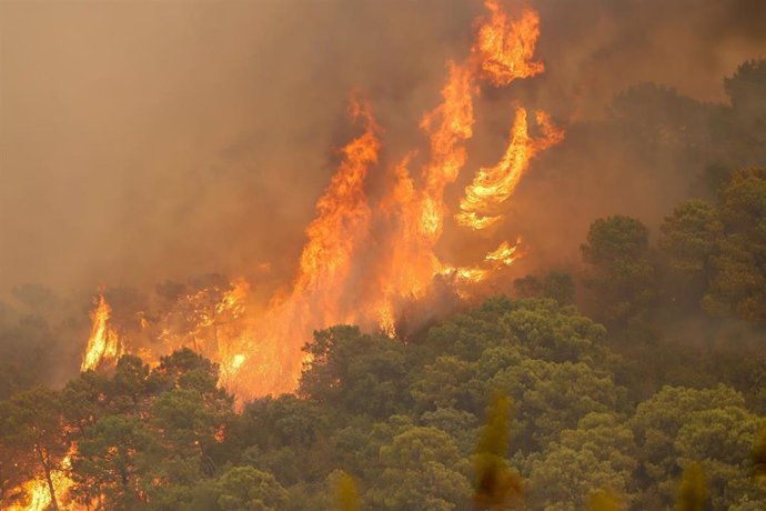 Unas 500 personas han sido desalojadas de forma preventiva de sus viviendas como consecuencia del incendio forestal de Sierra Bermeja a 09 de septiembre del 2021 en Estepona (Málaga) (Andalucía)
