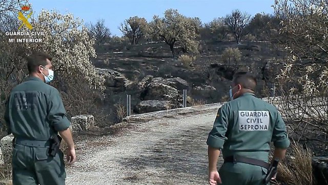 Agentes de la Guardia Civil en la zona del incendio forestal declarado en Villarrasa el pasado mes de julio.
