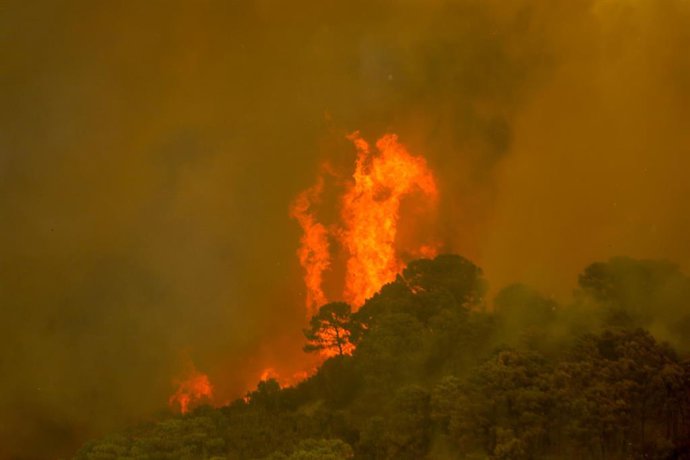Incendio forestal de Sierra Bermeja a 09 de septiembre del 2021 en Estepona (Málaga) (Andalucía)