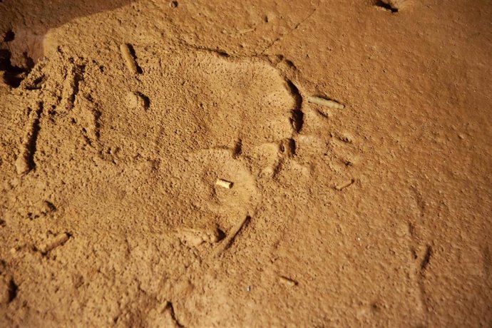 Descubiertas en La Garma huellas humanas, de oso y un grabado de un caballo en el suelo