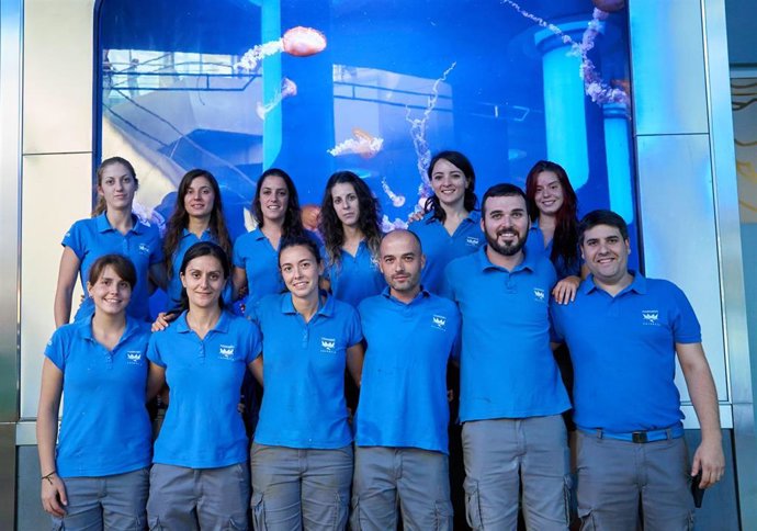 Archivo - El equipo de mediterráneo-medusas del Oceanogrfic