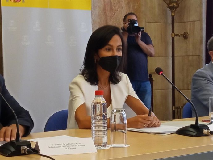 La secretaria de Estado de Transportes, Isabel Pardo de Vera.