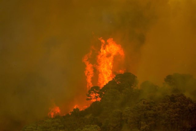 Incendio en Sierra Bermeja en una imagen de archivo 