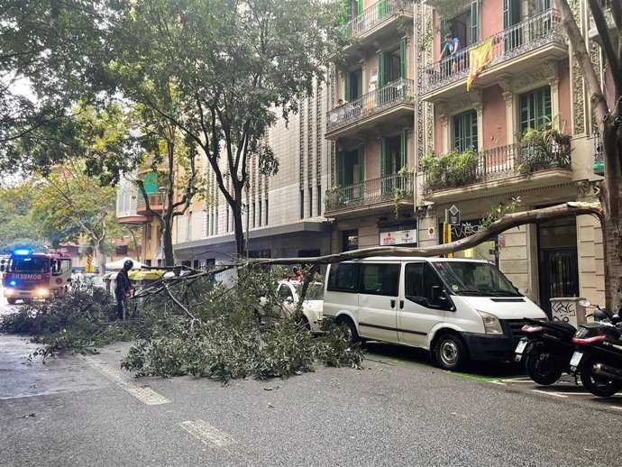 Imagen de un árbol encima de una furgoneta a causa de las lluvias en Barcelona