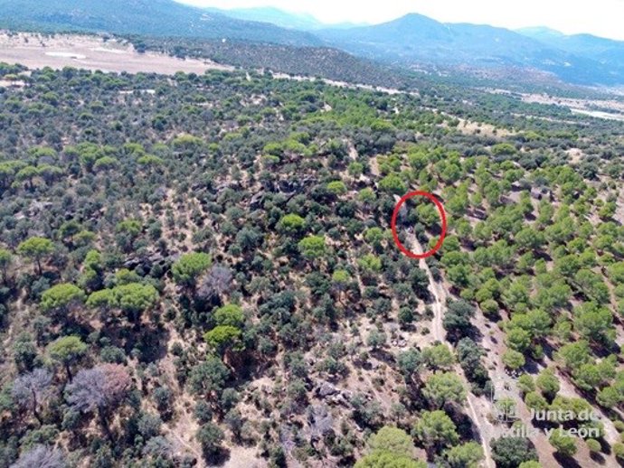 Rescate en Santa Leonor (Ávila).