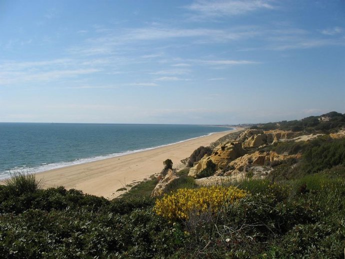 Archivo - Imagen de una playa de Huelva. 