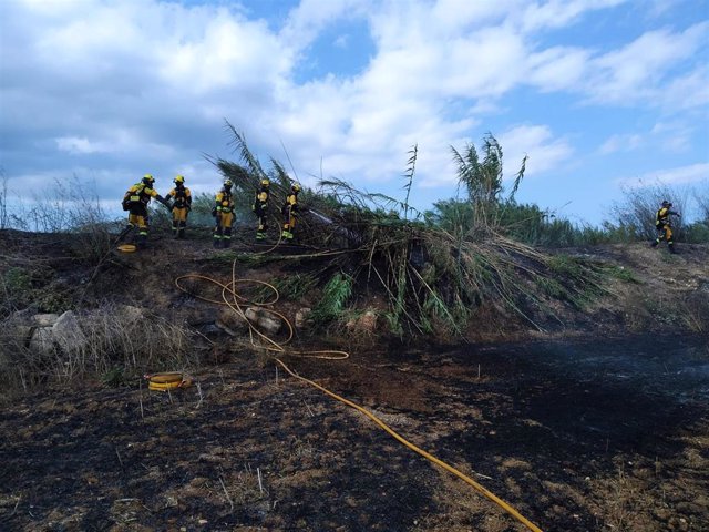 Efectivos del Ibanat trabajan en el incendio forestal declarado en el Torrent de Sant Miquel (Sa Pobla)