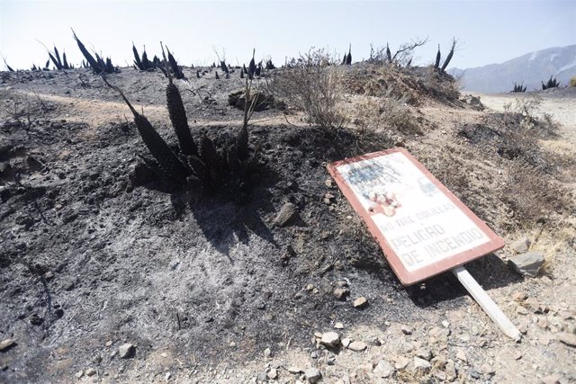 Parajes quemados en el que los medios aéreos y terrestres continúan este sábado luchando contra el incendio en Sierra Bermeja, que se declaró este pasado miércoles y sigue activo. 