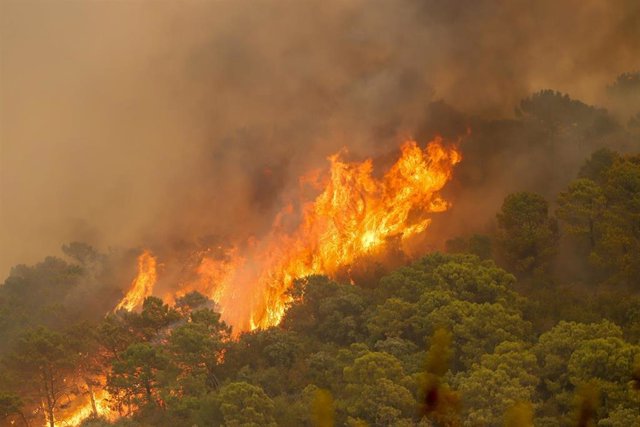 Imagen de archivo del incendio forestal de Sierra Bermeja 