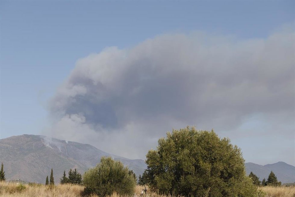 Los medios aéreos y terrestres continúan este sábado luchando contra el incendio en Sierra Bermeja, que se declaró este pasado miércoles y sigue activo. El fuego, por el que se ha activado el nivel 2 del Plan Infoca, afecta a varios municipios malagueño