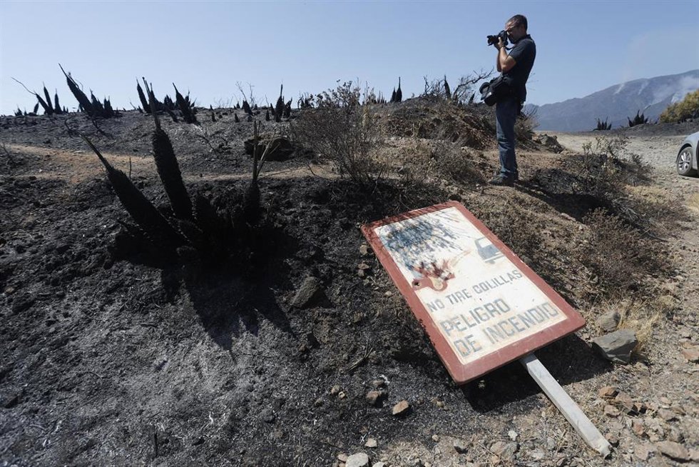 Parajes quemados en el que los medios aéreos y terrestres continúan este sábado luchando contra el incendio en Sierra Bermeja, que se declaró este pasado miércoles y sigue activo. El fuego, por el que se ha activado el nivel 2 del Plan Infoca, afecta a