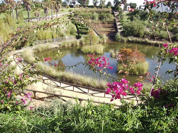 Archivo - Parque Botánico Celestino Mutis.