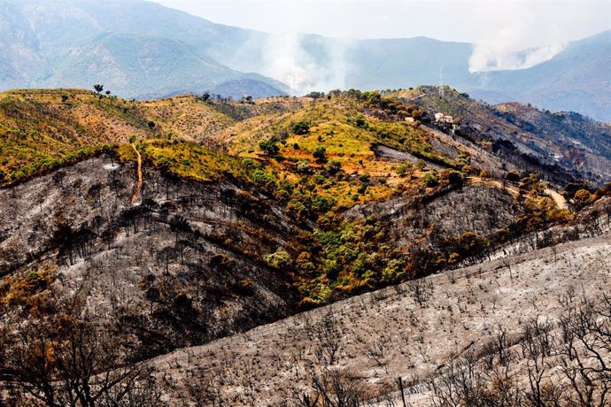 Paraje calcinados por el incendio en Sierra Bermeja